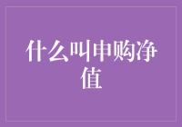 申购净值：你是不是也在偷偷地问我是谁？我从哪里来？我为什么在这里？