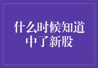 A股新股中签查询攻略：了解何时得知自己幸运中签