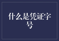 凭证字号：会计界的神秘编码？