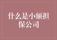 什么是小额担保公司：小额信贷的桥梁与希望