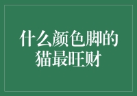 揭秘！什么颜色的脚喵星人能给你带来财运？