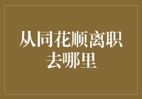 同花顺离职后的就业选择：从金融科技转向更广阔的职业天地