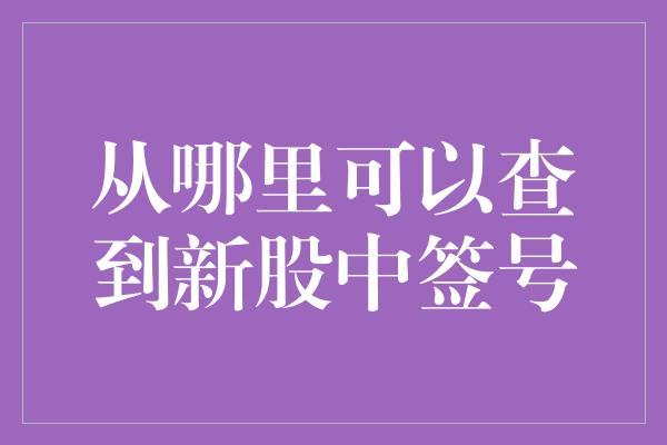 从哪里可以查到新股中签号