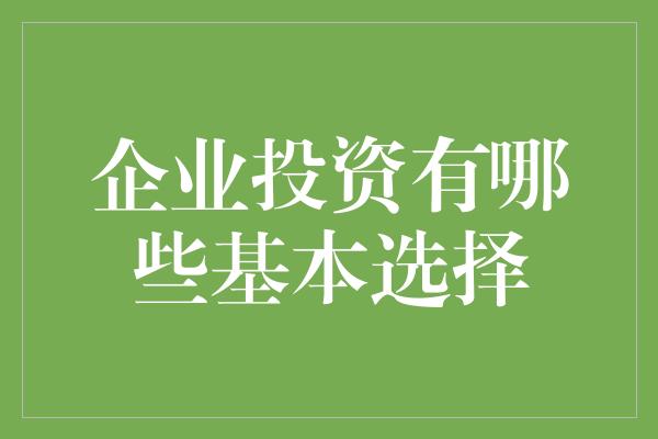 企业投资有哪些基本选择