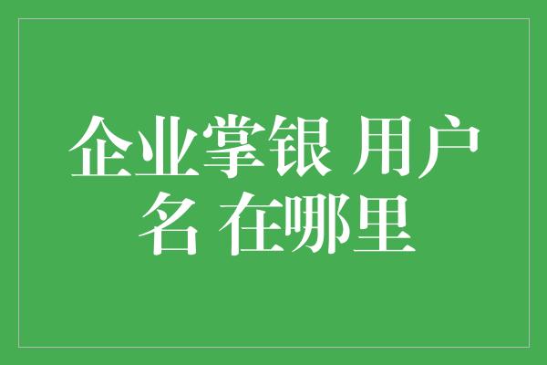 企业掌银 用户名 在哪里