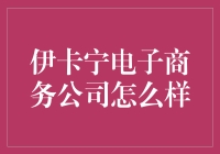 伊卡宁电子商务公司：重塑零售业的未来