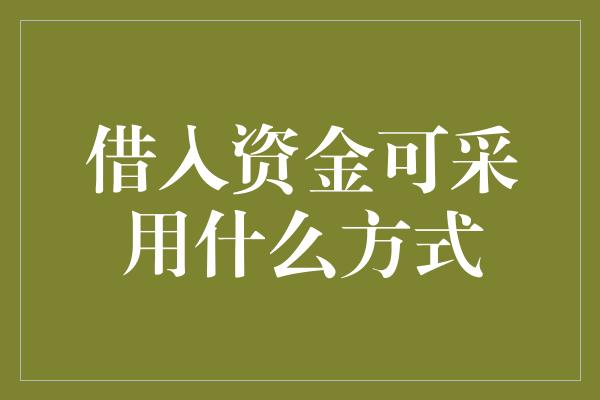 借入资金可采用什么方式