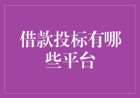 借款投标平台大揭秘：从新手到大佬的成长手册