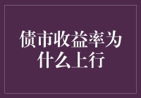 债市收益率上行：理解背后的驱动因素与市场反应