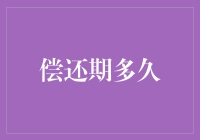 创新视角下的偿还期：从时间维度审视债务偿还策略