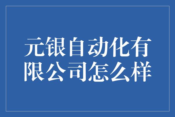 元银自动化有限公司怎么样