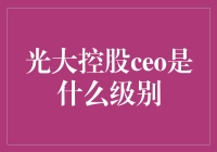 光大控股CEO的职位级别及其在行业中的地位