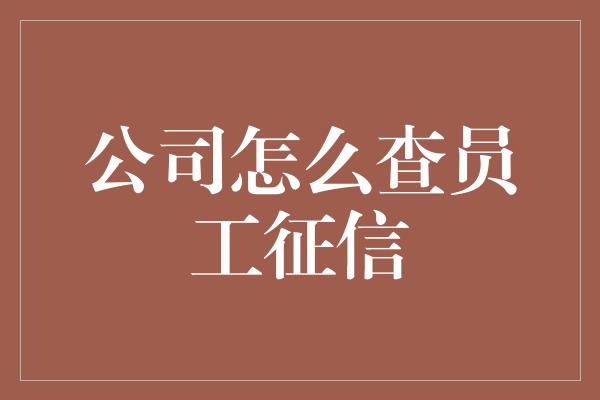 公司怎么查员工征信