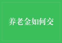 养老金如何交：构建稳定未来，助力老年人安享晚年