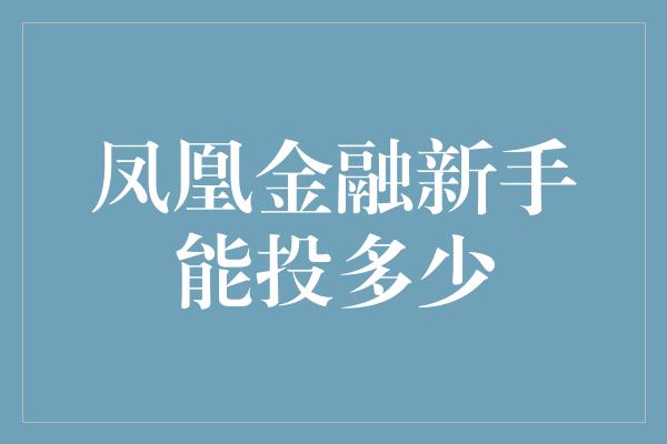 凤凰金融新手能投多少