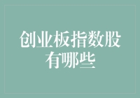 创业板指数股：打造成长型企业的投资风向标