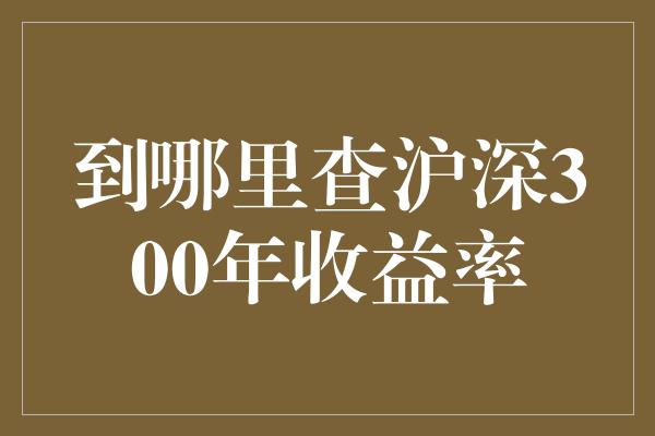 到哪里查沪深300年收益率