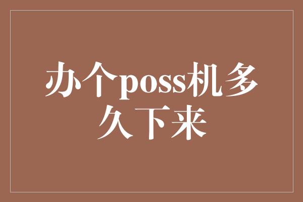 办个poss机多久下来