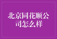 北京同花顺金融软件开发有限公司：引领股市分析的创新力量