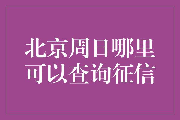 北京周日哪里可以查询征信