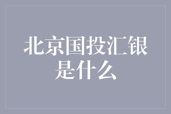 北京国投汇银是什么