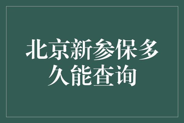 北京新参保多久能查询