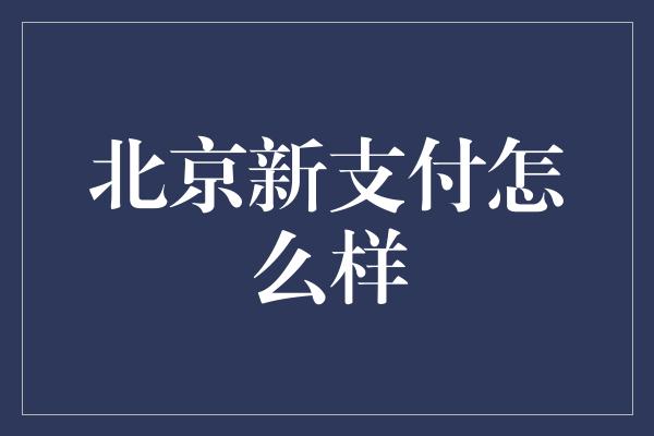 北京新支付怎么样