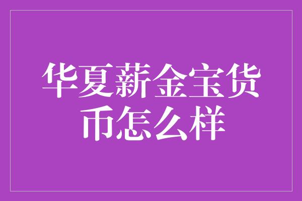 华夏薪金宝货币怎么样