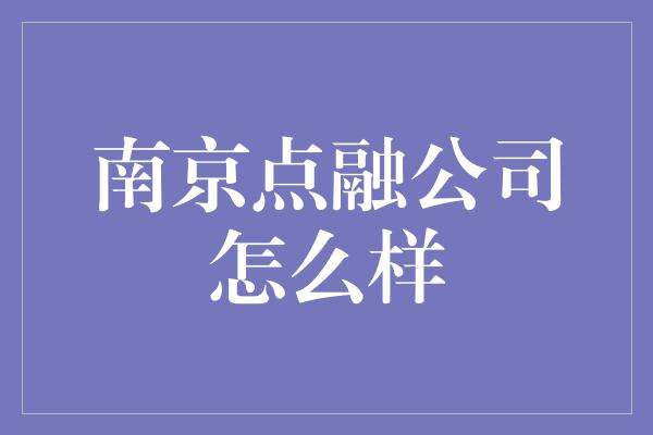 南京点融公司怎么样