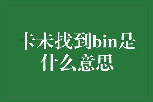 卡未找到bin是什么意思