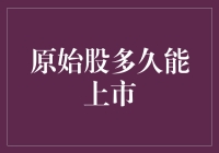 原始股多久能上市：风险与价值并存的投资之旅