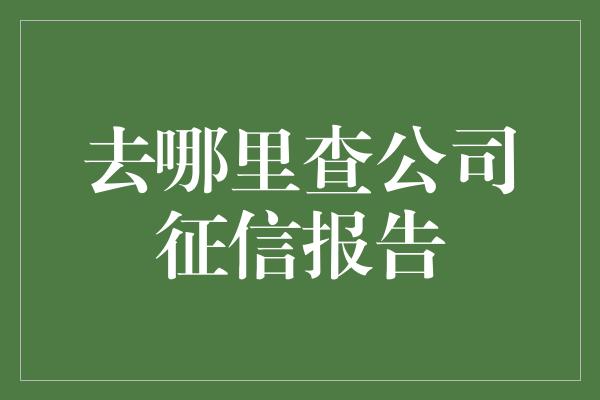 去哪里查公司征信报告