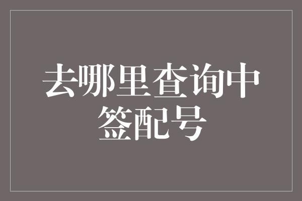 去哪里查询中签配号