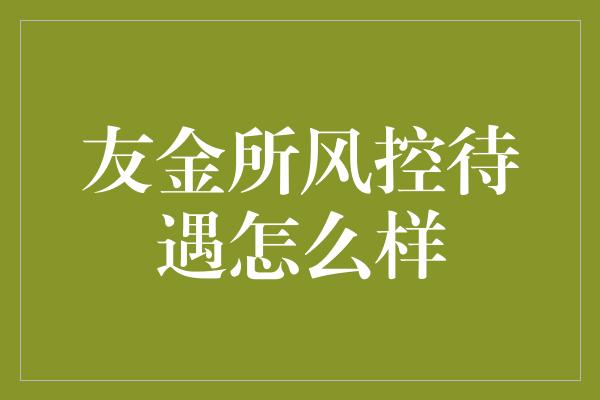 友金所风控待遇怎么样