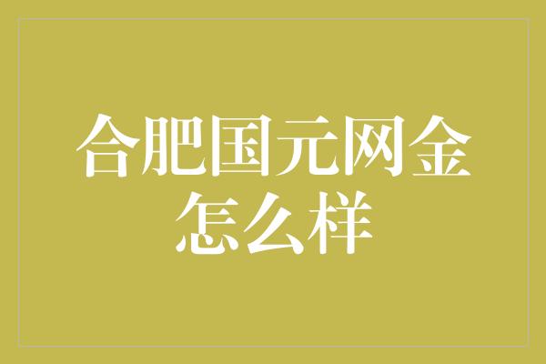 合肥国元网金怎么样