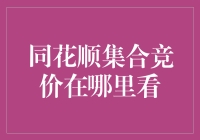 如何在同花顺中快速查看集合竞价：技巧分享与导航指南