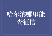 哈尔滨征信查询指南：专业正规途径解析