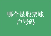 股市新手的疑惑——什么是股票账户号码？