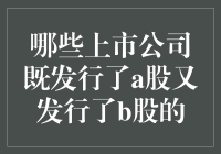 哪些上市公司既发行了A股又发行了B股——探究多市场融资策略