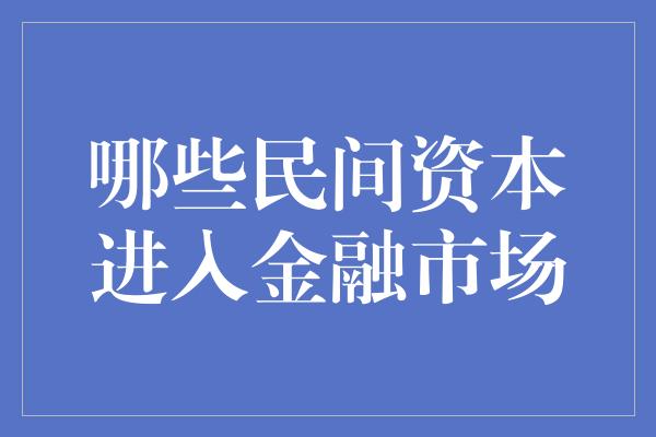 哪些民间资本进入金融市场