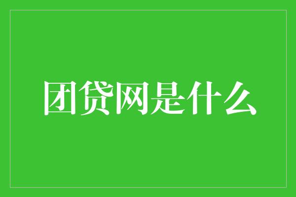 团贷网是什么