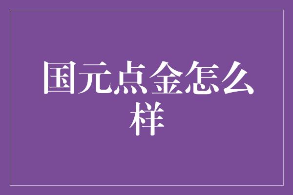 国元点金怎么样