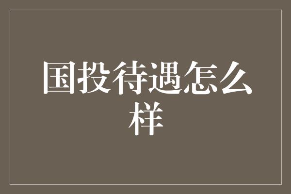 国投待遇怎么样