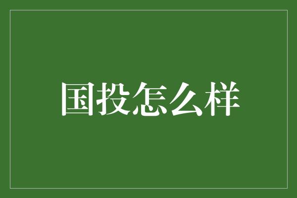 国投怎么样