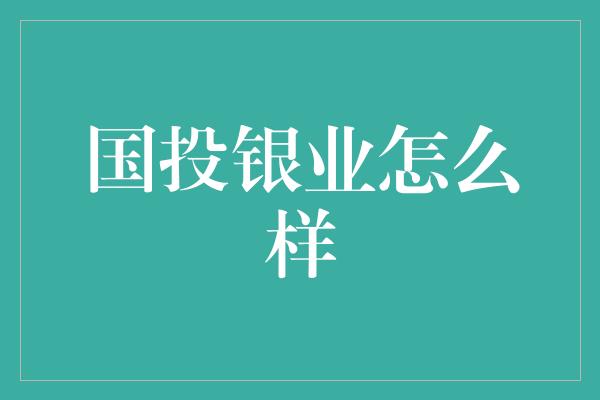 国投银业怎么样