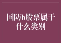 国防B股票类别分析：价值投资与风险评估