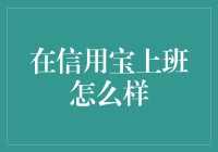 聚焦信用宝：职场新人的进阶之路