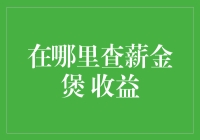 收益比炒股还稳，年薪薪金煲在哪里查？