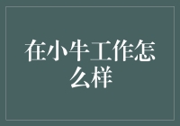 小牛工作？谁说我不能牵着牛去上班！