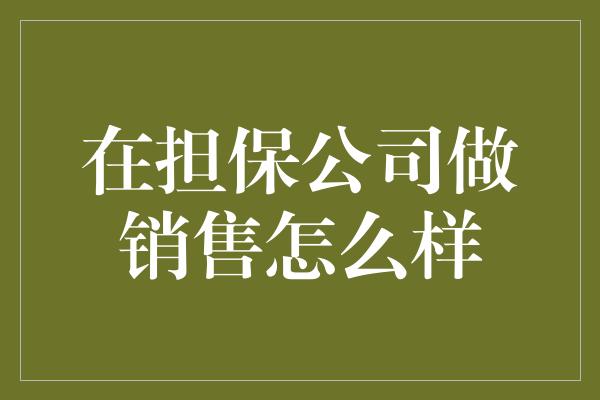 在担保公司做销售怎么样